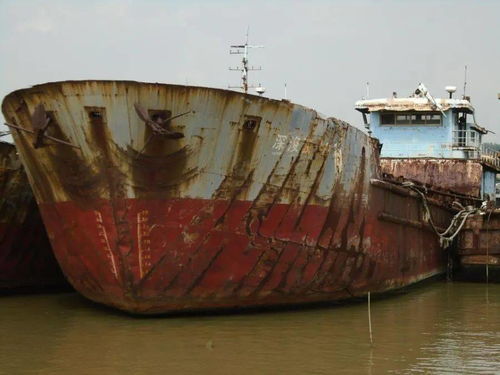 國(guó)際船舶運(yùn)輸市場(chǎng)動(dòng)態(tài) 運(yùn)泥船‘深浚駁001’等船舶拍賣信息解析